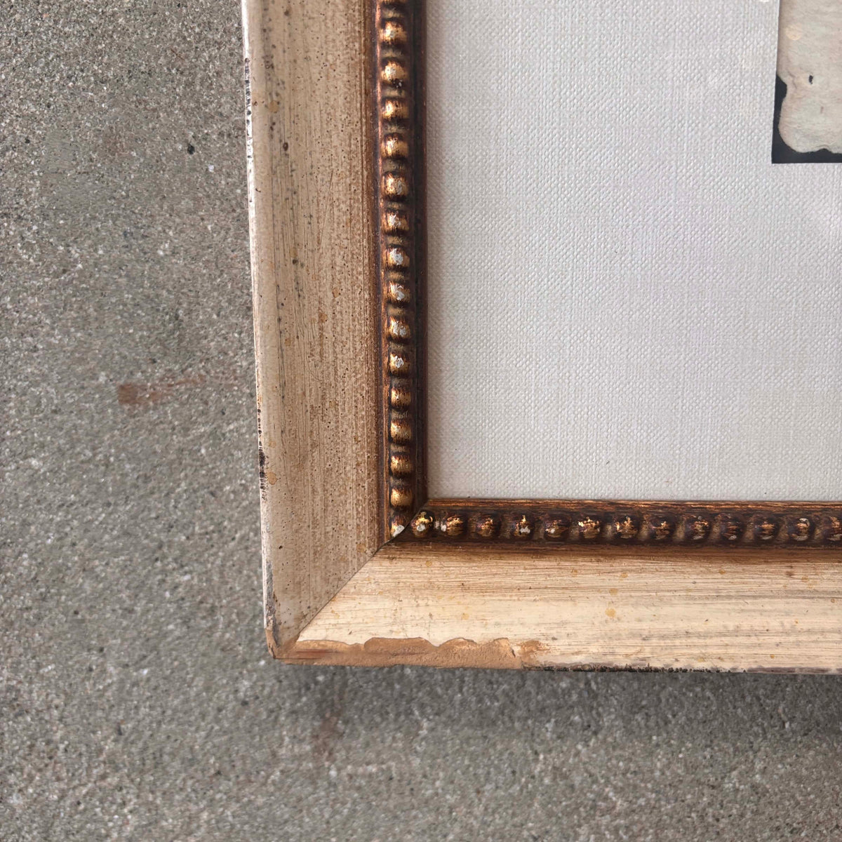 Fish Framed Art #2