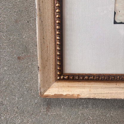 Fish Framed Art #2