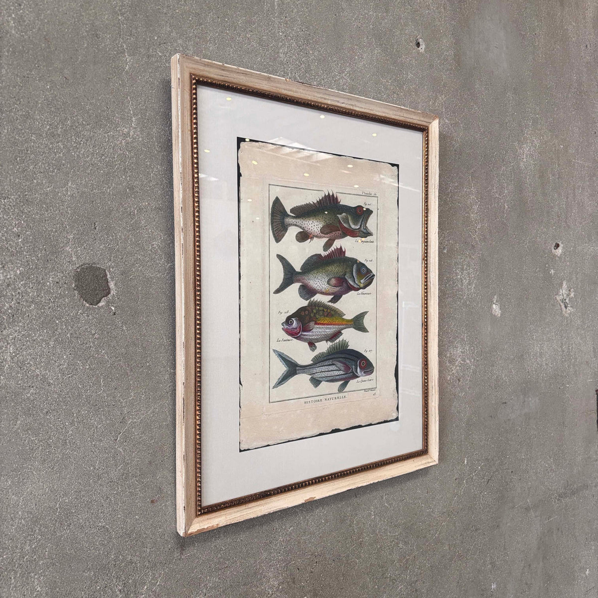 Fish Framed Art #2