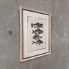 Fish Framed Art #2