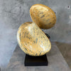 Italian Designer Made in Belgium Biomorphic Sculpture (Age Unknown)