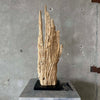 Large Modern Driftwood Table Lamp