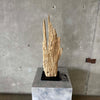 Large Modern Driftwood Table Lamp