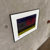Muted Poissibilies Signed Print