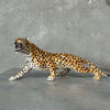 Vintage Leopard 1950-60s - Made in Sweden