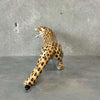 Vintage Leopard 1950-60s - Made in Sweden