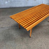 Mid Century Modern Slatted Bench/Coffee Table