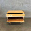 1960s Germany Nightstand #2