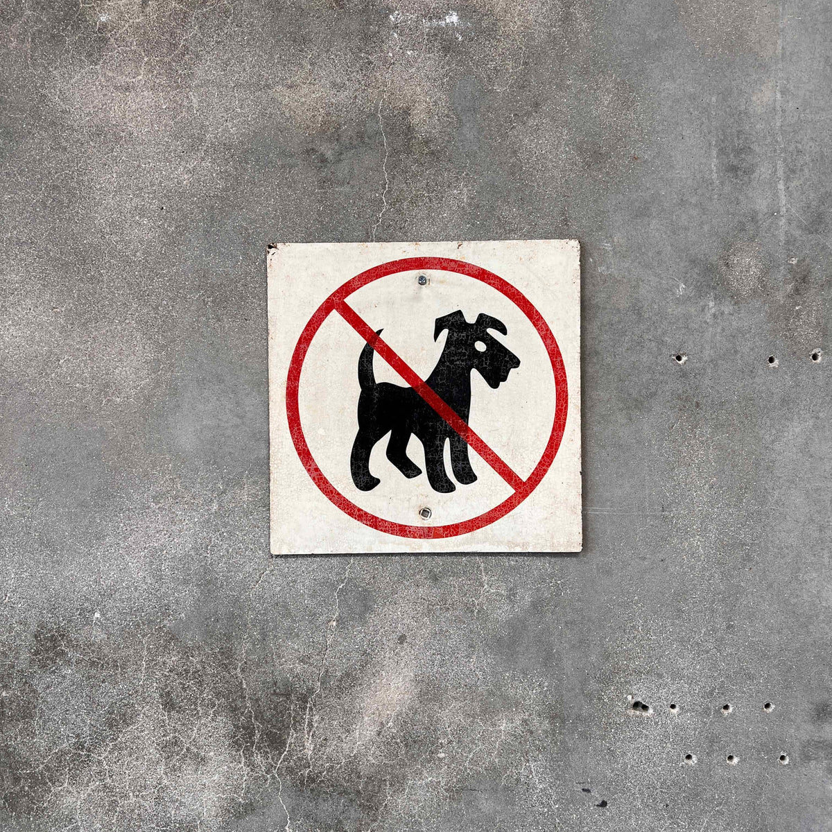 Vintage Metal Sign - No Dogs