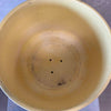 Epic Yellow Gainey C-15 Planter Pot Signed on Bottom