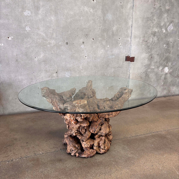 Burl Root Table With Glass