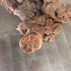 Burl Root Table With Glass