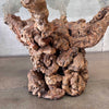 Burl Root Table With Glass