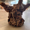 Burl Root Table With Glass