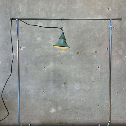 Robert Nightingale Style Garden Pendant Light (Works)