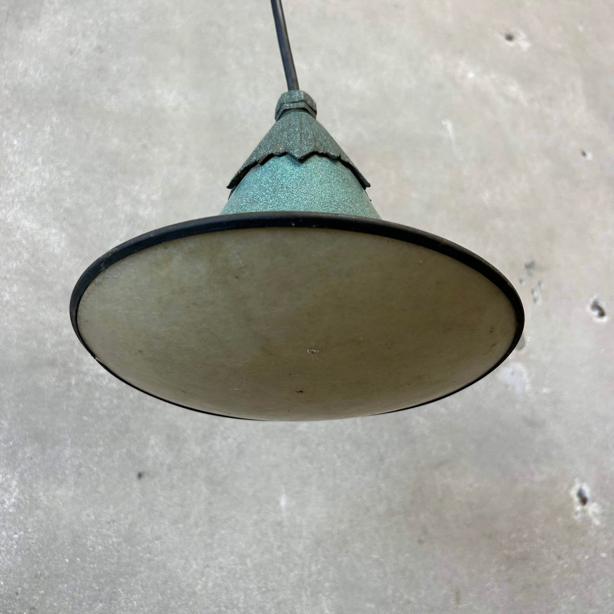 Robert Nightingale Style Garden Pendant Light (Works)
