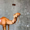 Vintage Leather Camel - As Is