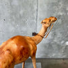 Vintage Leather Camel - As Is