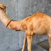Vintage Leather Camel - As Is