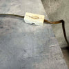Rare 1950's U.S. Hydrangea Tole Lamp