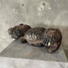 1980's Hand Carved Wood Grizzly Bear