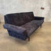 Mid Century Teddy Bear Black Sofa