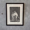 Vintage Lithograph of a Dog