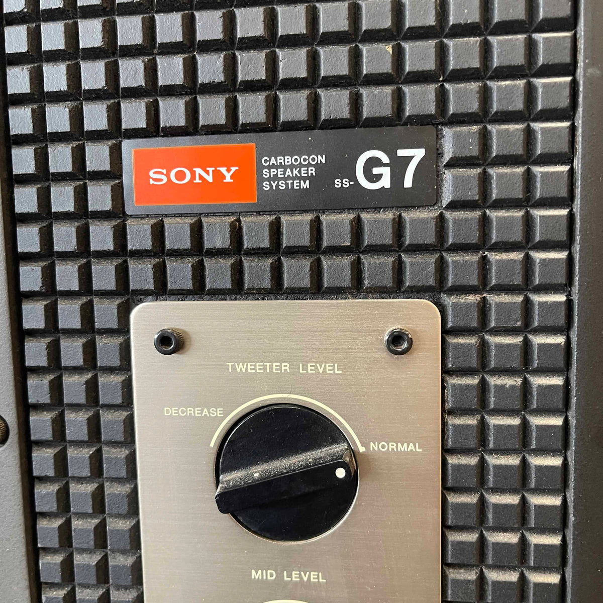 Vintage Sony SS-G7 Speakers (Working)