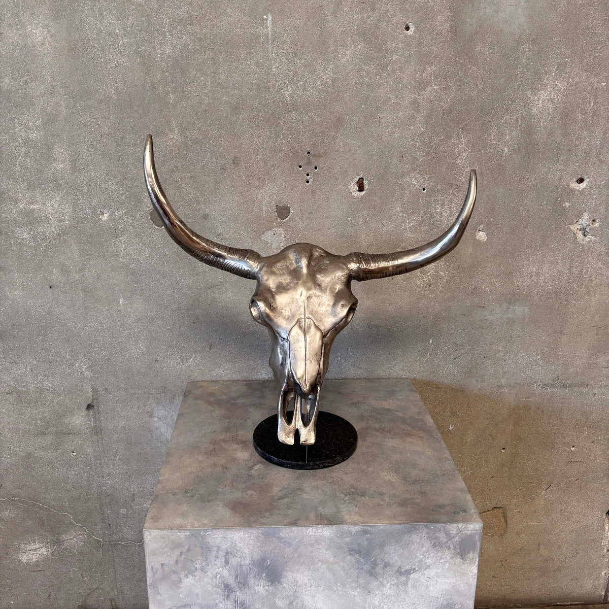 Cast Iron Aluminum Bull Skull