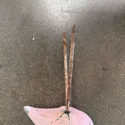 Vintage Cement Flamingo - Small