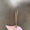 Vintage Cement Flamingo - Small