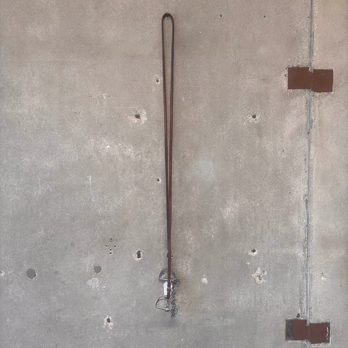 Antique Horse Bit