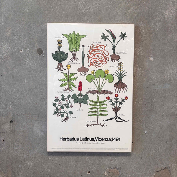 Vintage Serigraph Poster "Herbarius Vicenza 1491 - Circa 1970