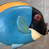 Signed Fish Sculpture #1 Product Image