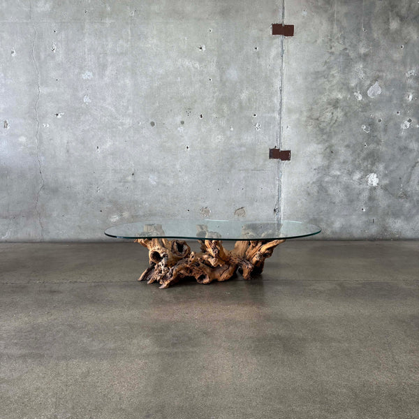 Mid Century Modern Driftwood Coffee Table