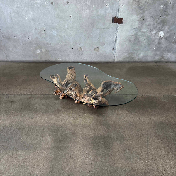 Mid Century Modern Driftwood Coffee Table