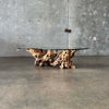 Mid Century Modern Driftwood Coffee Table Product Image