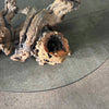 Mid Century Modern Driftwood Coffee Table Product Image