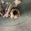 Mid Century Modern Driftwood Coffee Table Product Image