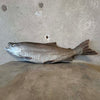Japanese Fish Sculpture Product Image
