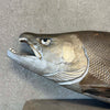 Japanese Fish Sculpture Product Image