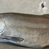 Japanese Fish Sculpture Product Image