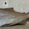 Japanese Fish Sculpture Product Image