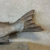 Japanese Fish Sculpture Product Image