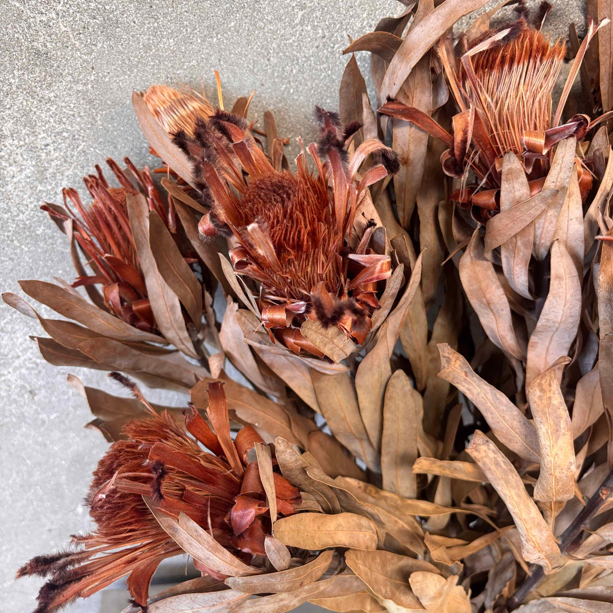Dried Flower Bunch From the Estate of Dianne Keaton #1