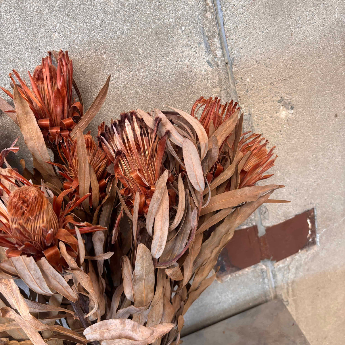 Dried Flower Bunch From the Estate of Dianne Keaton #1