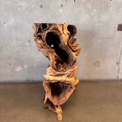Large - Old Burl/Root Teak - Plant Stand On Display