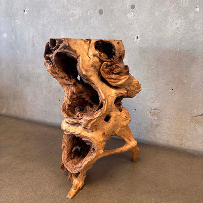 Large - Old Burl/Root Teak - Plant Stand On Display
