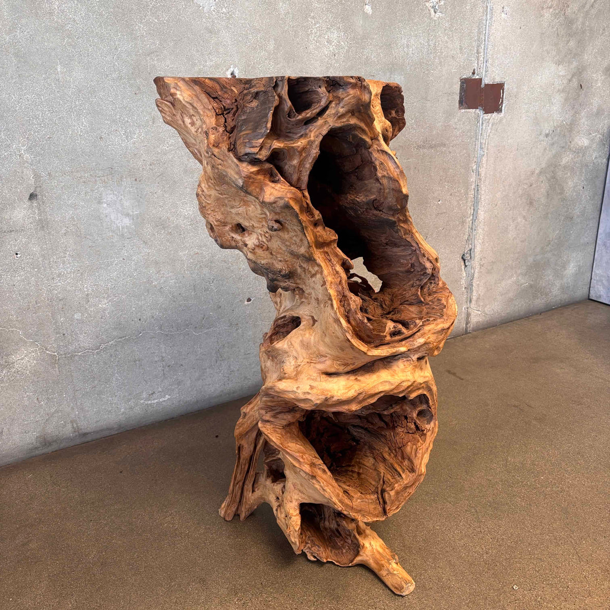 Large - Old Burl/Root Teak - Plant Stand On Display