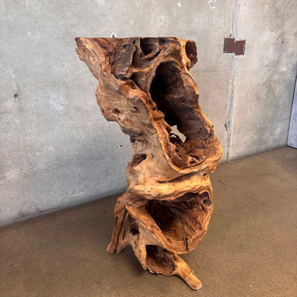 Large - Old Burl/Root Teak - Plant Stand On Display